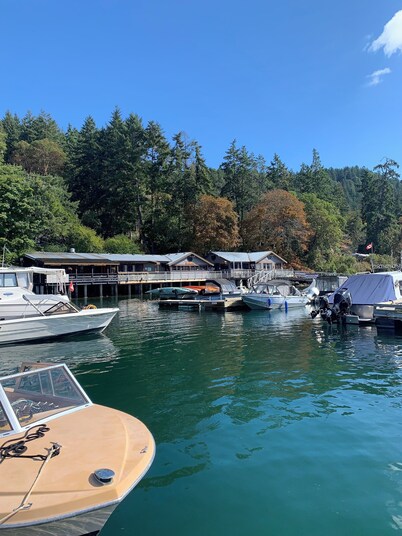 Oceanfront Views, Full Kitchen,  Wi-Fi ~ Where the Forest Meets the Ocean