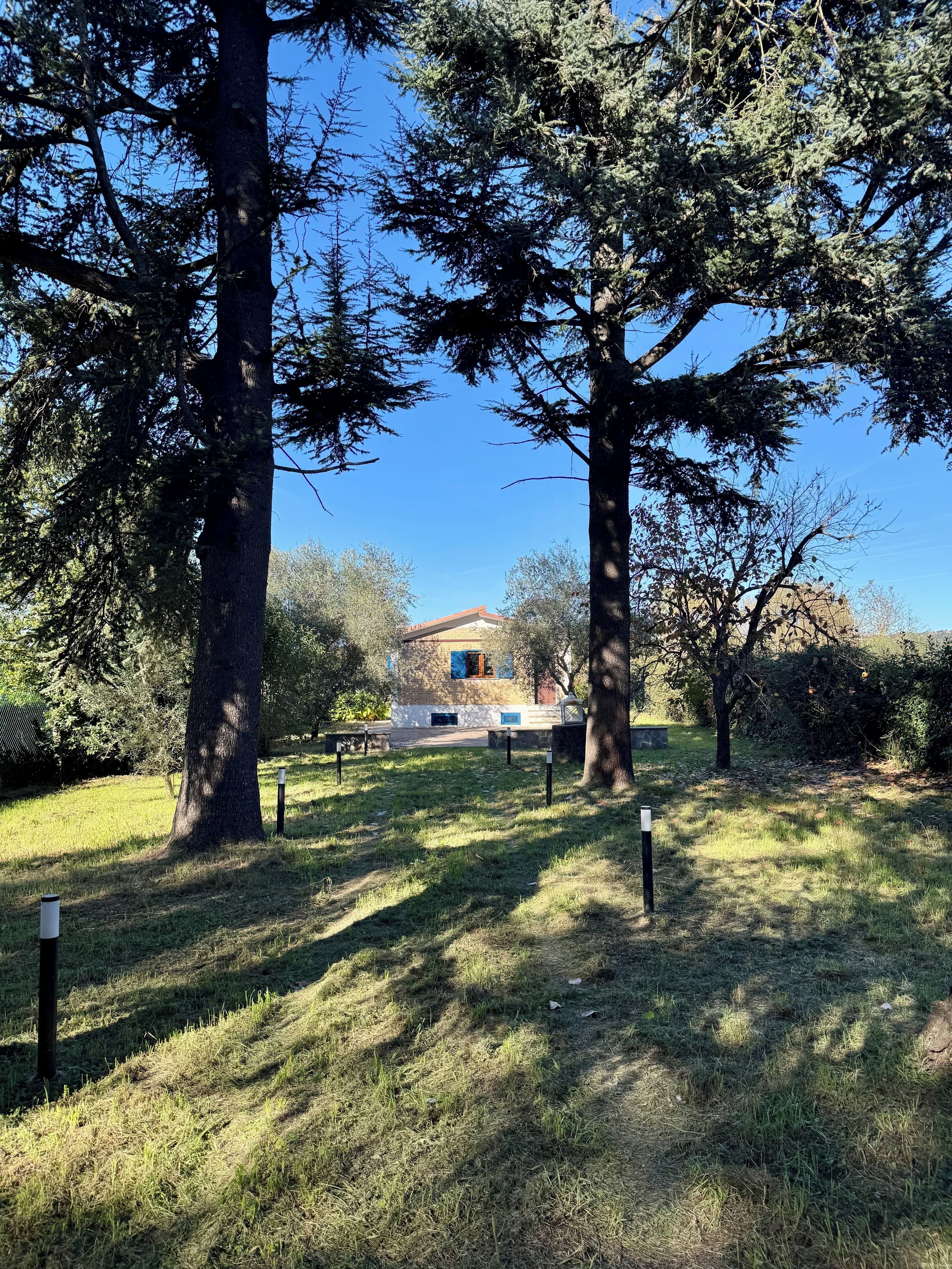 A building with a red roof, surrounded by trees and grass.
