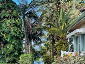 A lush garden with various tropical plants, including palm trees and a well-maintained hedge. - Creole B&B in Les Avirons, perfect for hiking (Les Avirons)