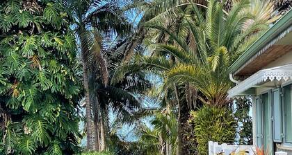 Creole B&B in Les Avirons, perfect for hiking