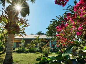 Un giardino tropicale con una palma, bougainvillea e un edificio con tetto spiovente.