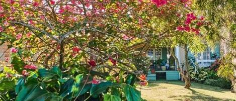 Un jardín con follaje verde exuberante y flores rosas vibrantes, un camino que lleva a un edificio, y un cielo despejado.