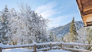 Property grounds - Luxury Chalet in Les Allues (Les Allues)