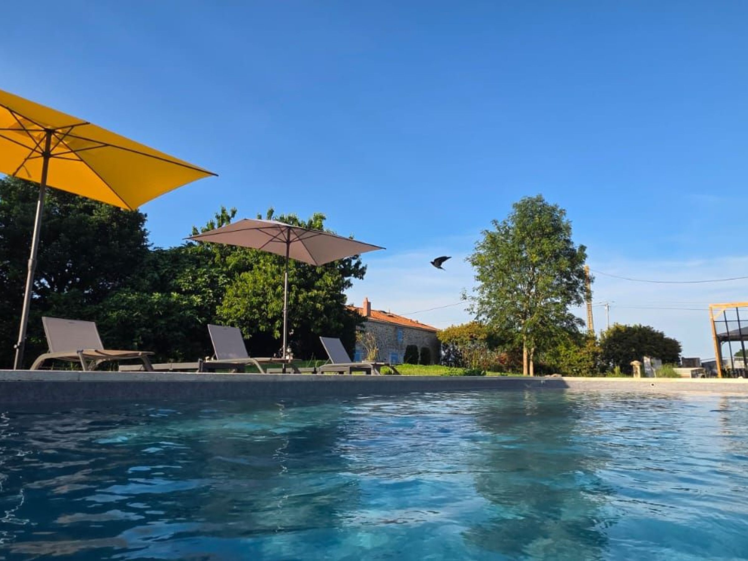 A swimming pool with lounge chairs and umbrellas, surrounded by trees and a building.