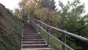 A set of outdoor stone steps with a wooden handrail, surrounded by greenery and trees. - 3 Rooms in Carroz, 6 Pers, Terrace, Parking (Les Carroz d'Arâches)