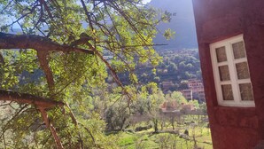 A view of a hillside with buildings and trees. - Chez Yahia, in the heart of Ourika, apartment with panoramic view (Ourika)