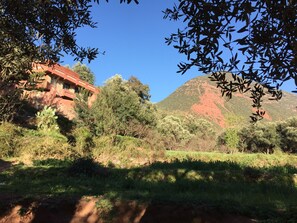 Property grounds - Chez Yahia, in the heart of Ourika, apartment with panoramic view (Ourika)