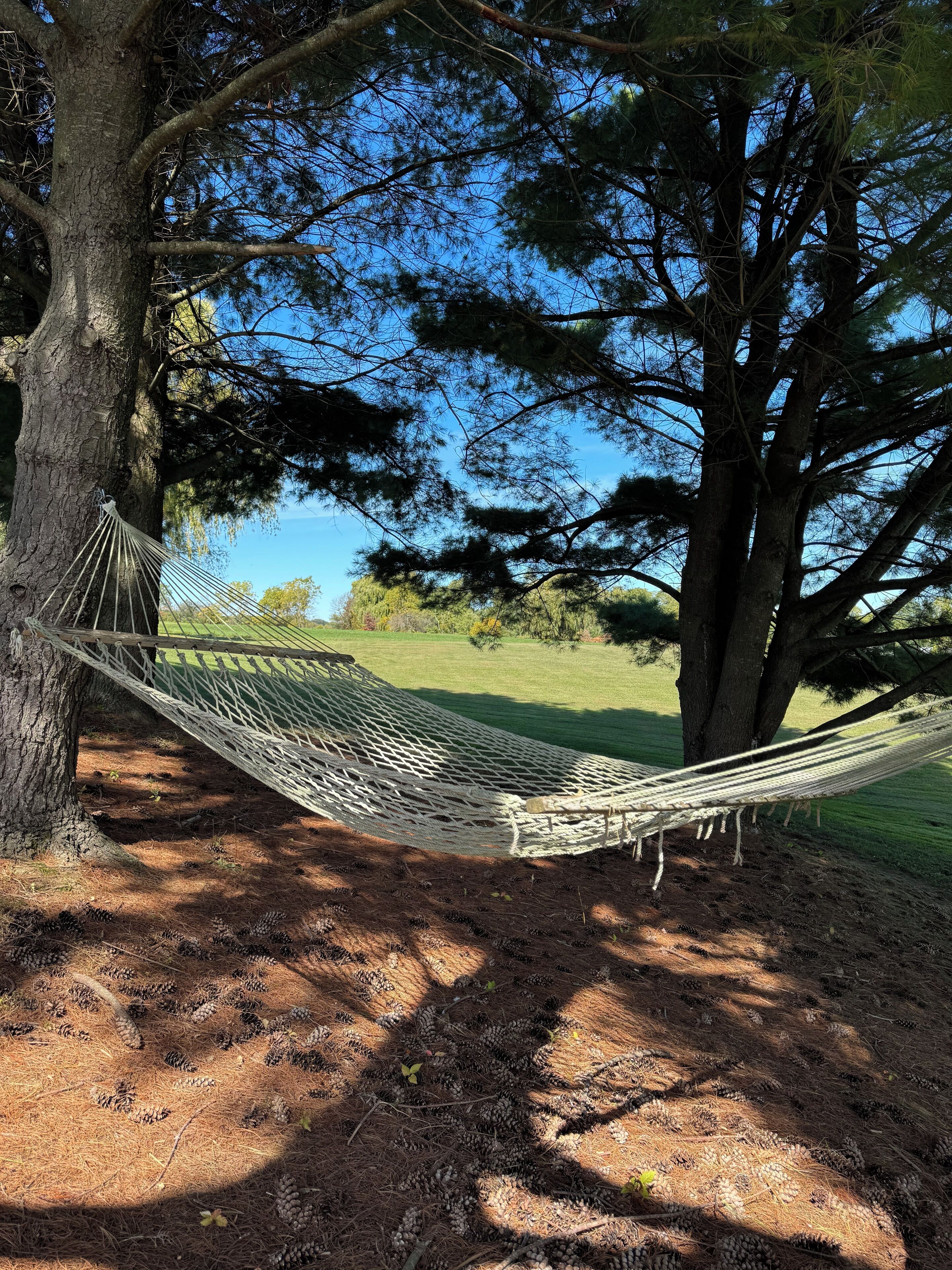 Steal away to the hammock, where dappled light and soft breezes invite quiet conversation and unhurried thoughts. 