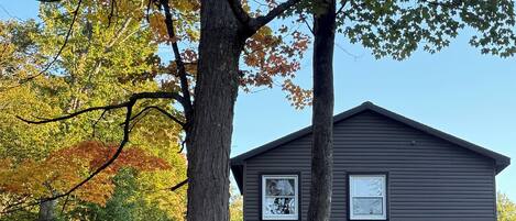 A two-story building with a dark exterior, a visible window, and a tree with autumn leaves in front.