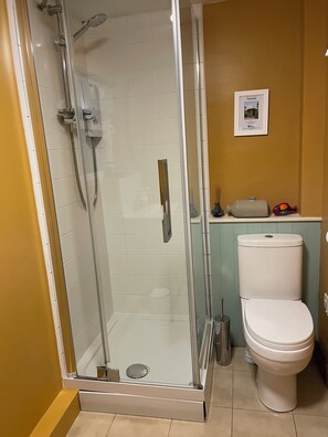 Ein Badezimmer mit Duschkabine, Toilette und Ablage für Toilettenartikel.