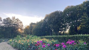 A garden with various flowering plants and a wooden fence. - Vacation apartment near Volkspark, arenas / Trabrennbahn /DESY (Hamburg)