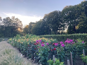 Overnatningsstedets område