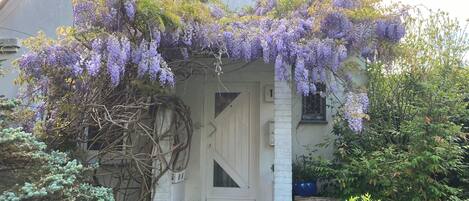 Detall de l'exterior