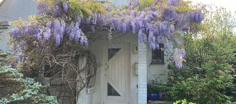 Vacation apartment near Volkspark, arenas / Trabrennbahn /DESY