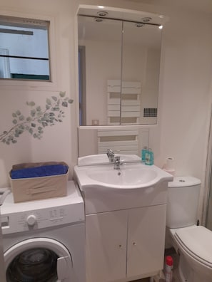 Secador de cabelo, toalhas de banho, sabonete, papel higiênico