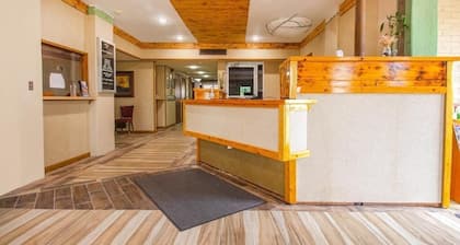 Stay Queen Room, Parking Included, Pet Friendly, Near Joe’s