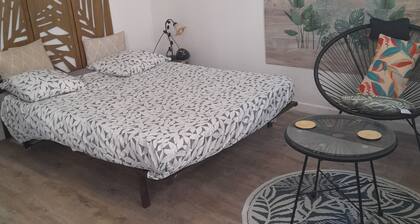 Studio cosy 23 m2 , calme, pk, wifi