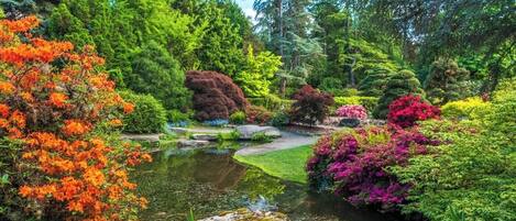 Jardines del alojamiento