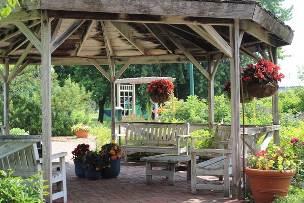 Terras