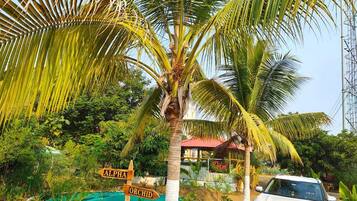 A white car parked near a palm tree with signs indicating 'ALPHA' and 'ORCHID'.