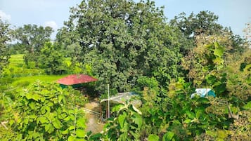 Vista aérea