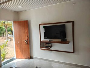 Television