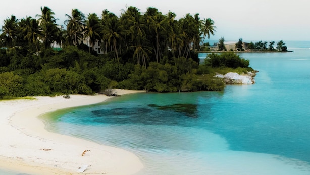 A beach with clear turquoise waters, a sandy shore, and a small island with palm trees. - Endorphins Beach Villa (Dhiffushi)