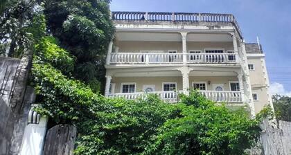 5 mins walk from Kingstown! Private 1-bedroom apartment with AC. Pet-Friendly!