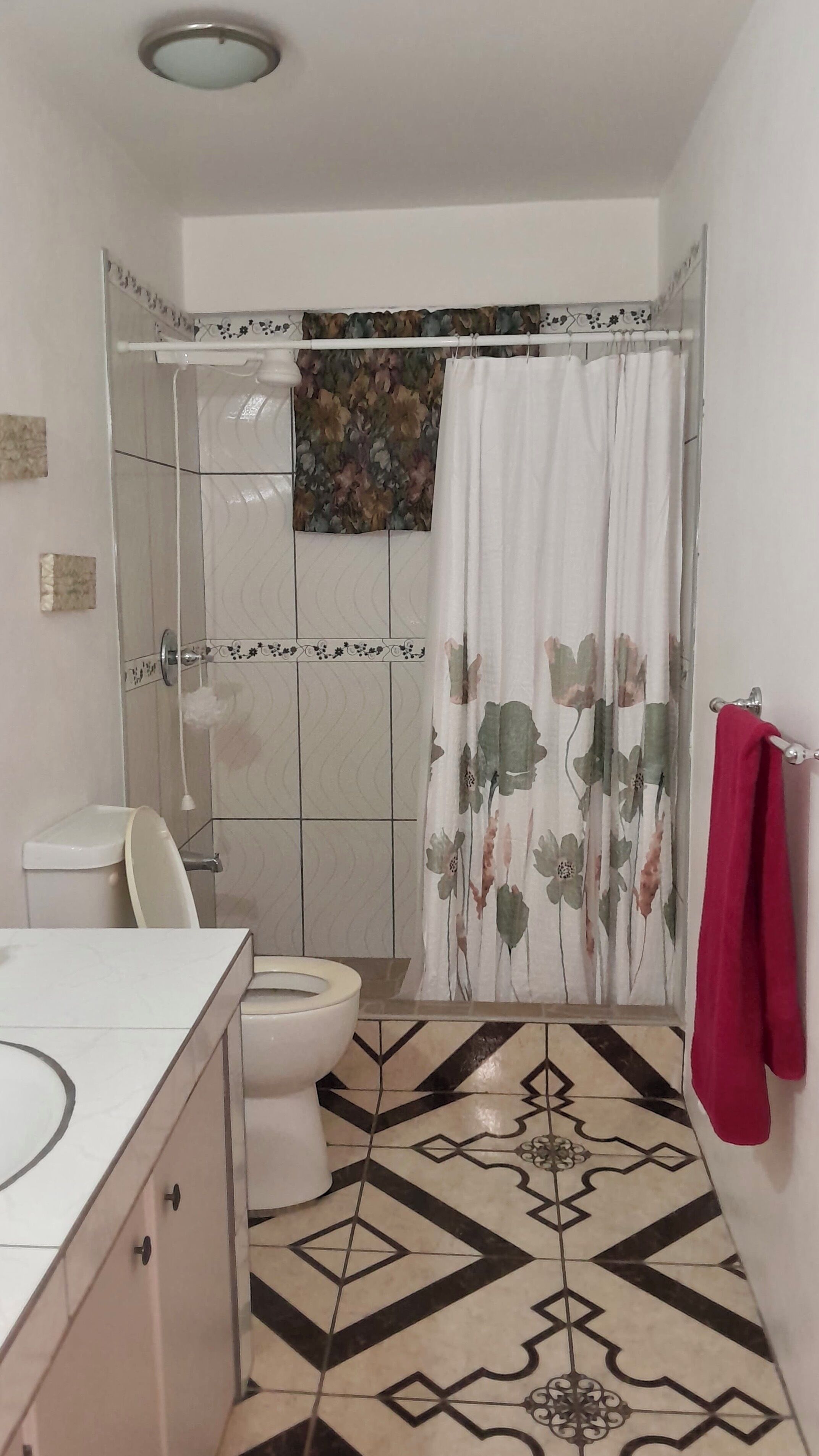 Shower, towels, soap, shampoo