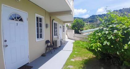 5 mins walk from Kingstown! Private 1-bedroom apartment with AC. Pet-Friendly!