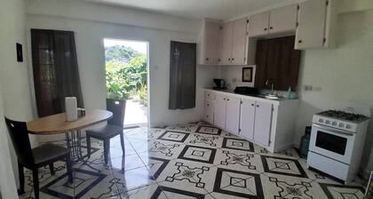 5 mins walk from Kingstown! Private 1-bedroom apartment with AC. Pet-Friendly!