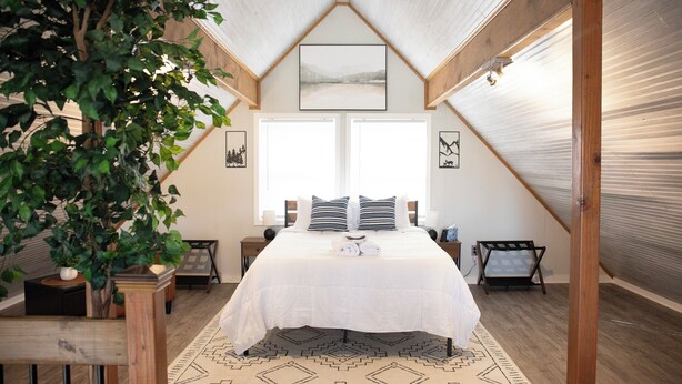 Een slaapkamer met een wit bed, een geometrisch vloerkleed, een groot raam en een plant.