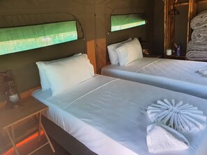 Tienda de campaña económica, vista al jardín | Escritorio, espacio para trabajar con laptop y wifi gratis 