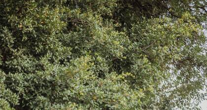 Starlit Solace - A 3bhk luxury villa with pool in Gurgaon by The Party Citadel