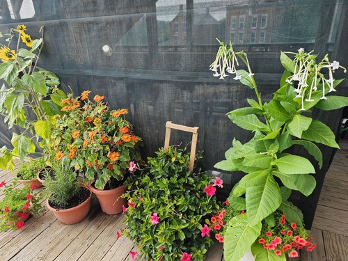 In town Penthouse Apartment and Personal Spa