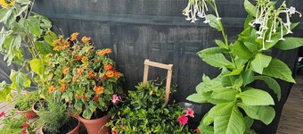 In town Penthouse Apartment and Personal Spa