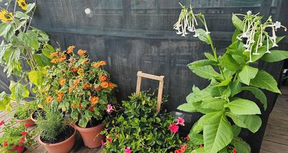 In town Penthouse Apartment and Personal Spa