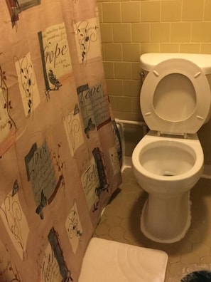 Bañera, artículos de higiene personal gratuitos, toallas y jabón
