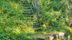 Una escalera de piedra rodeada de abundante vegetación, que asciende por una colina.