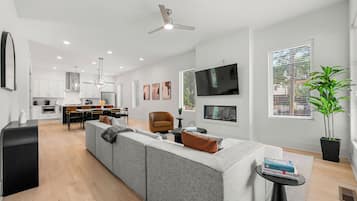 Smart TV, fireplace, books