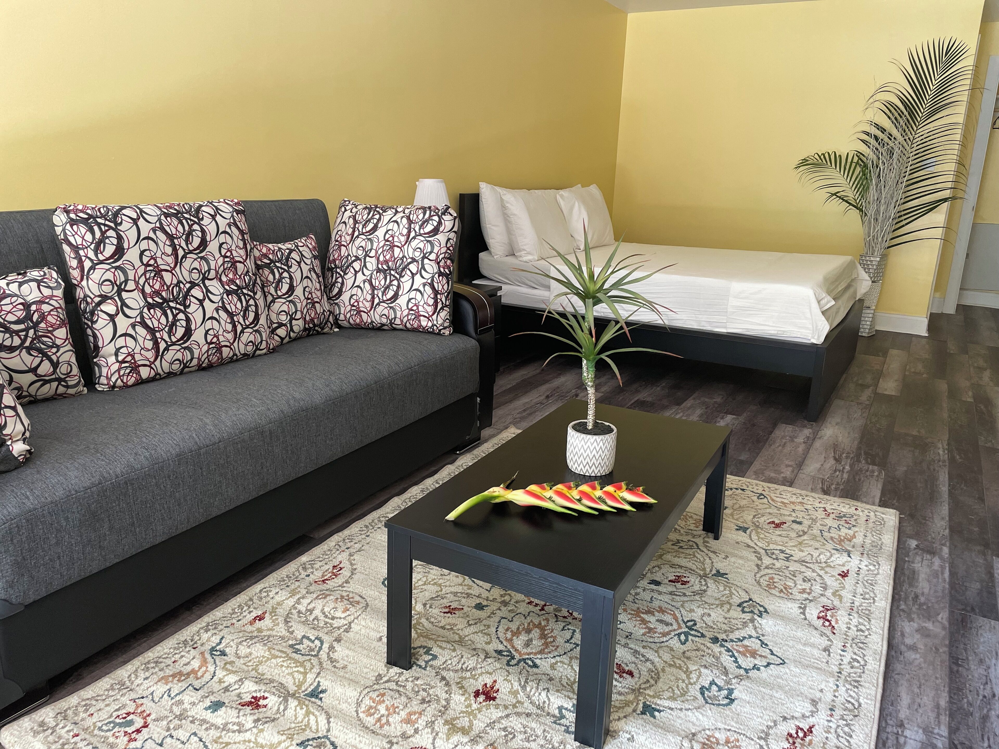 Un salon moderne avec un canapé gris, des coussins à motifs, une petite table basse agrémentée d’une plante, et un lit avec une literie blanche.