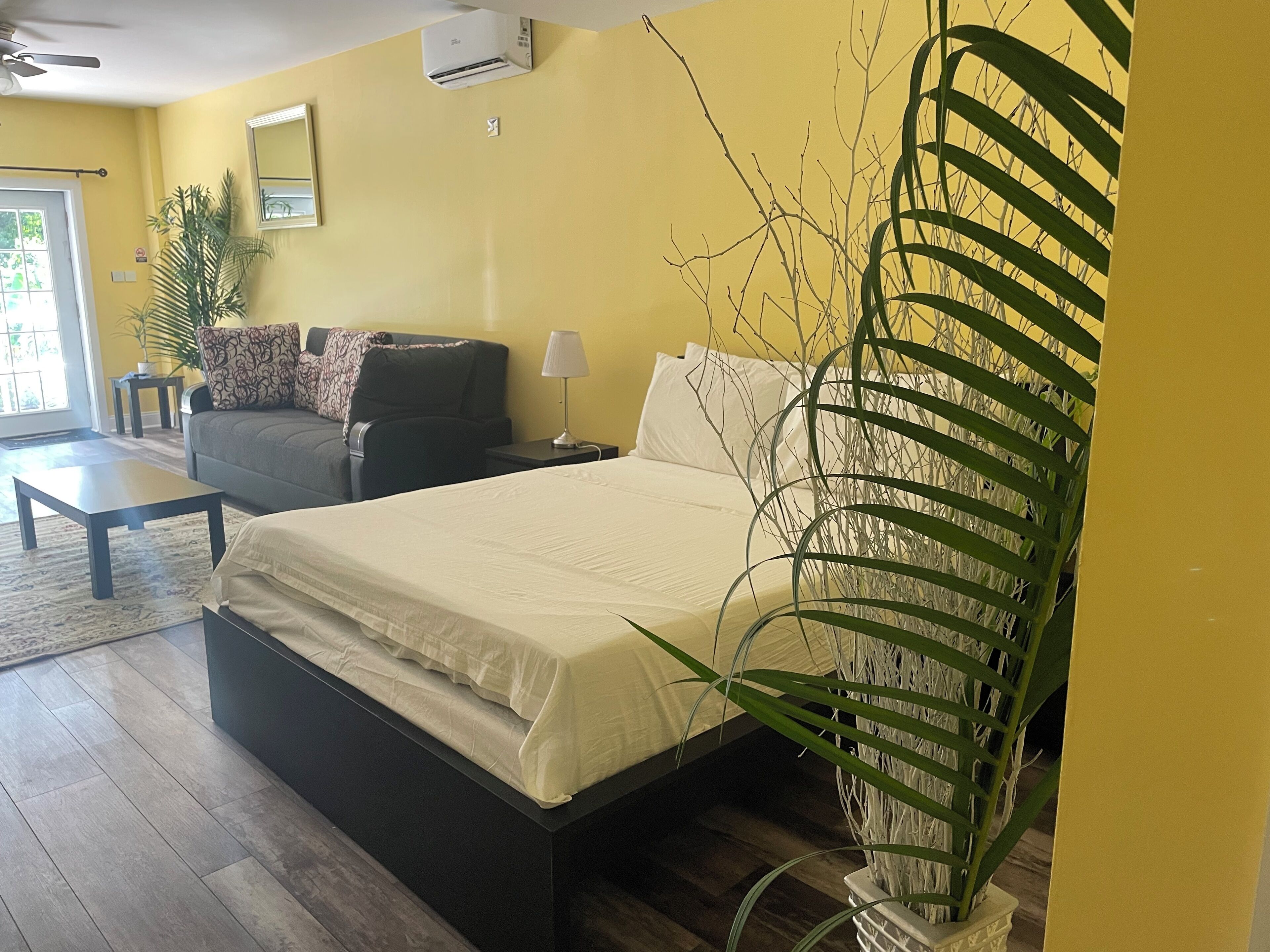 A bedroom with a bed, a nightstand, a lamp, a sofa, a coffee table, and a potted plant.