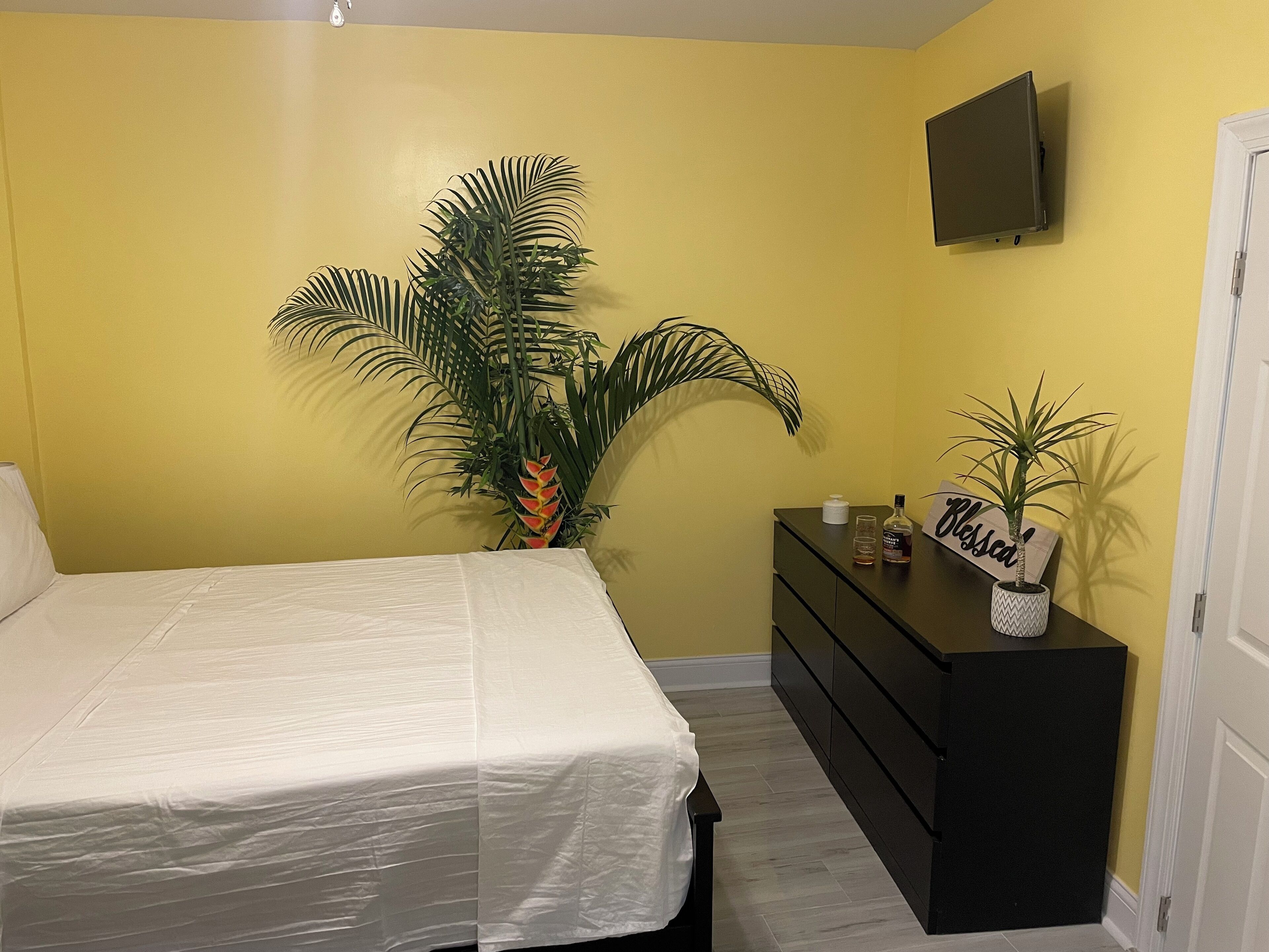 A bedroom with a bed, a dresser, a television, and a large plant.