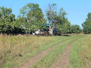 Un paisaje rural con un camino de tierra que lleva a una casa rodeada de árboles.