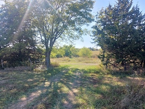 A rural path surrounded by trees and grass. - Secluded Prairie Retreat (Kincaid)
