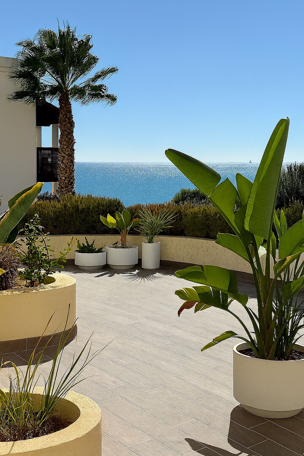 A rooftop terrace with potted plants, a palm tree, and a view of the ocean.