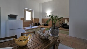 Una cocina con refrigerador, lavamanos y una planta en maceta.