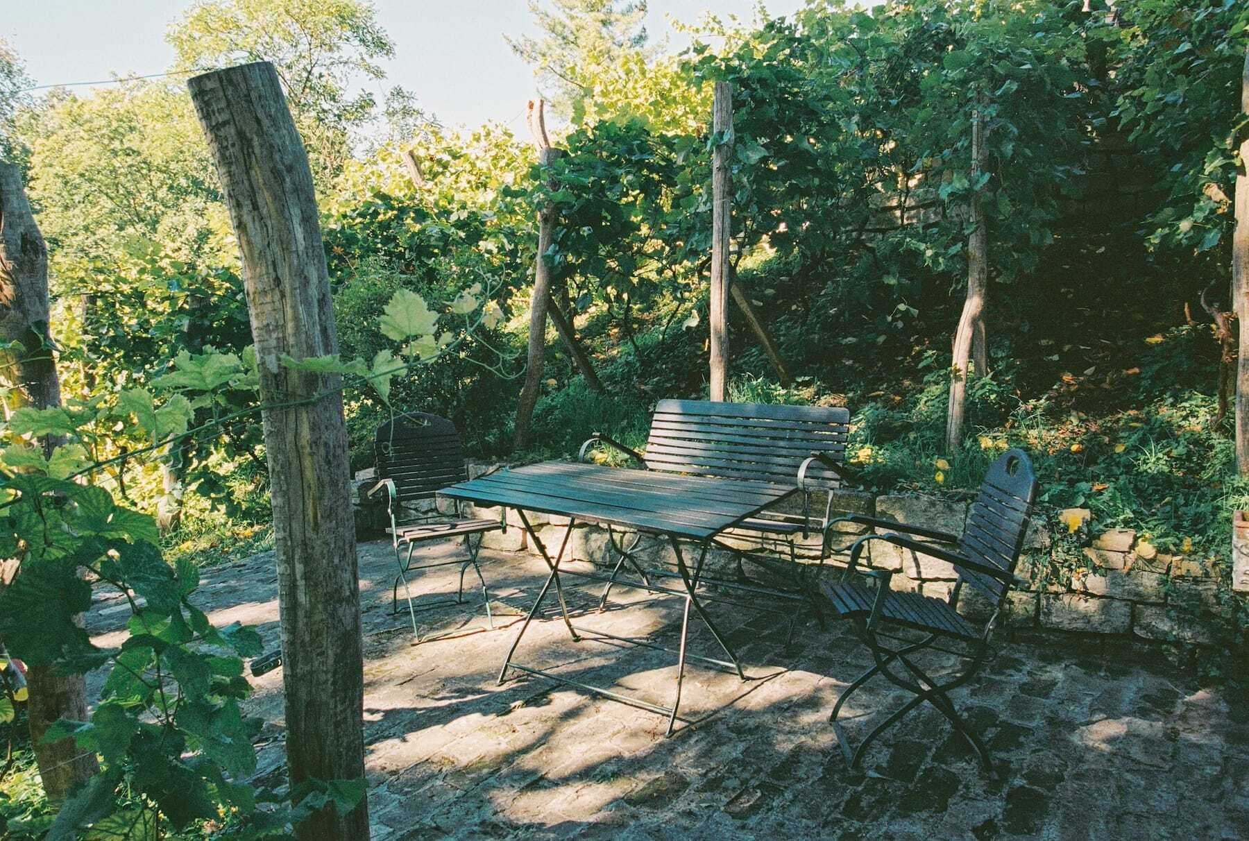 Un espace extérieur aménagé dans un style rustique, avec une table et des bancs en bois, entouré de verdure et d’arbres.