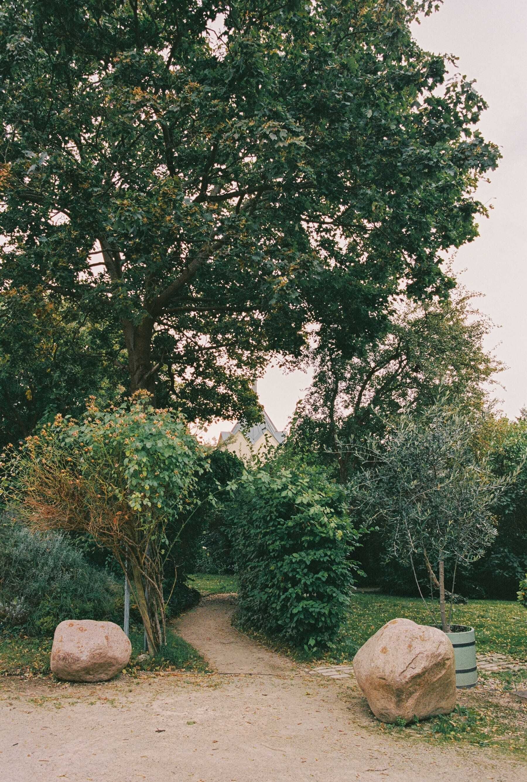 Ein schottriger Pfad führt durch einen Garten mit großen Steinen und dichtem Grün.