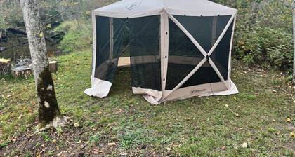 9 Acres of Secluded Freedom along the Kettle River in Sturgeon Lake, MN